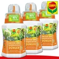 COMPO 3 x 250 ml Kakteen- und Sukkulentendünger Spurenelemente Pflege Kaktus