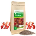 Purgrün® Bio-Amberbaum-Dünger 1 kg – Organisch-mineralische Rezeptur – Feinkörniges Krümelgranulat – NPK 6+3+8 – Mit Magnesium für eine intensive Blattfärbung – Verbessert die Bodenqualität