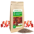 Purgrün Bio-Amberbaum-Dünger 1 kg