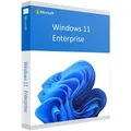 Microsoft Windows 11 Enterprise, ESD