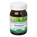 WEIZENGRAS BIO Pulver 90 g