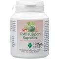 KOHLSUPPEN 120 St