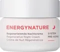 ANNEMARIE BÖRLIND ENERGYNATURE Regenerierende Nachtcreme 50 ml