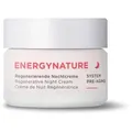 ANNEMARIE BÖRLIND Energynature Regenerierende Nachtcreme