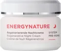 ANNEMARIE BÖRLIND ENERGYNATURE Regenerierende Nachtcreme 50 ml