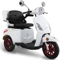 GreenStreet Elektromobil E-Mover 800 W 25 kmh inkl. Topcase