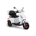 GreenStreet Elektromobil E-Mover 800 W 25 kmh inkl. Topcase
