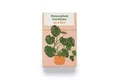 Houseplant Gardener in a Box von Perrone, Jane | Buch | Zustand gut