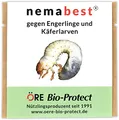 nemabest® HB Nematoden für 50m² (25 Mio.) gegen Engerlinge und Käferlarven vom Gartenlaubkäfer, Junikäfer, Maikäfer u. a.