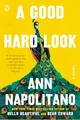 A Good Hard Look: A Novel