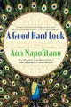 Ann Napolitano A Good Hard Look (Taschenbuch)