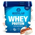 Bodylab24 Whey Protein Pulver, Cinnamon Cereal White Chocolate, 1kg