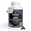 OPC Traubenkernextrakt Kapseln, zertifiziert, hochdosiert: 450 mg reines OPC, 180 Kapseln für 6 Monate, Natürliche Nahrungsergänzung ohne Zusätze, Made in Germany