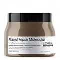 L'Oréal Professionnel Série Expert Absolut Repair Molecular Maske 250 ml