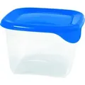 CURVER FRESH & GO Frischhaltedose  182238 , Fassungsvermögen: 0,45 Liter, Maße: 10,5 x 10,5 x 7,0 cm
