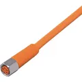 ifm Electronic EVT135 Anschlussleitung Buchse, gerade 5 m Polzahl Sensoren: 4 1 St.