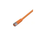 Ifm Electronic Kabeldose M8 ADOGF040VAS0005E04 Sensor-Aktor-Kabel EVT135