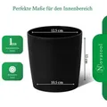 Novaliv Stilvolle Kräuterstation 3er Set mit Holzunterlage - Kräutertopf für jede Fensterbank, Für frische Küchenkräuter, Kräutergarten für di