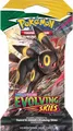 Pokémon TCG Sammelkarten: Sword & Shield 7 Evolving Skies – Sleeved Booster Pack (10 Karten) – Englisch