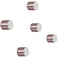 Sigel Neodym Magnet C5 Strong (Ø x H) 10 mm x 10 mm Zylinder Silber 5 St. BA700