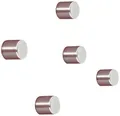 Sigel Neodym Magnet C5 "Strong" (Ø x H) 10mm x 10mm Zylinder Silber 5 St. BA700