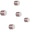 5er Multipack Sigel Neodym Magnet C5 Strong (Ø x H) 10 mm x 10 mm Zylinder