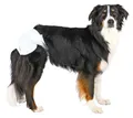 Hundewindeln Hündinnen XS-S 20-28cm 12 Stück TRIXIE Hygieneartikel