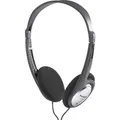 Panasonic RP-HT030 On Ear Kopfhörer kabelgebunden Stereo Schwarz, Silber Leichtbügel