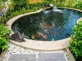 Kinzo Teichschutzgitter Teichschutz, 20 x schwimmende Ringe, Teichabdeckung