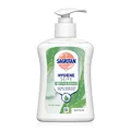 Sagrotan Hygieneseife Aloe Vera 250 ml Flüssigseife Cremeseife Seife Pumpflasche