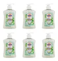 Sagrotan Hygiene Seife Aloe Vera Duft Seifenspender , 6x250ml EAN4002448099871