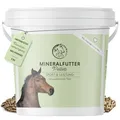 Sport & Leistung Mineralfutter Pferde getreidefrei - Ergänzungs Pferdefutter für Pferde mit Aminosäuren, Vitaminen, Mineralstoffen & Spurenelementen, wie Zink, Selen, Omega 3 & Jod (3 kg Eimer)