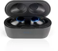 BLAUPUNKT BTW 10  Kabellose Bluetooth Sport In-Ear Kopfhörer,Schwarz, WIE NEU