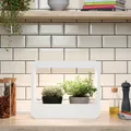 Home Garden LED Mini Garten - Indoor Kräuter Garten & Regrowing Set