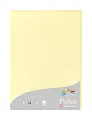 Clairefontaine 24207C Packung mit 25 Karten Pollen 210g, DIN A4, 21 x 29,7cm, Kanariengelb