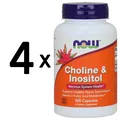 4 x NOW Foods Choline and Inositol, 500mg - 100 caps (124,98 EUR/kg)