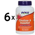 6 x NOW Foods Choline and Inositol, 500mg - 100 caps (124,92 EUR/kg)