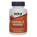 NOW FOODS Cholin & Inositol 500 mg 100 Veg. Kapseln Leberunterstützung