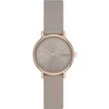 Skagen Damenuhr Lille SKW3060 Edelstahl 88536851