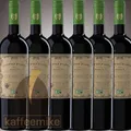 Doppio Passo Bio Primitivo Puglia 6 x 0,75L 13%Vol