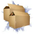 PROREGAL 2x Versandkarton 2-wellig | LxBxH 1200 x 600 x 600 mm | Mit Höhenriller & Belastbar bis 30 kg | Braun | Große Pappkiste Faltkarton Karton Paket für Versand mit DHL DPD GLS UPS Hermes