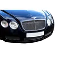 Bentley Continental GT – unterer Grill, Grillsatz, silbern (2003 bis 2007)
