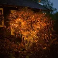 esotec Solar Lichterkette, 60 bernsteinfarbene LEDs, 6 Meter wetterfest 102172