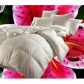 Hofmann Canada Ganzjahres Daunendecke Daunenbett 4x6 155x220 1200 g 100% Daunen - Weiß