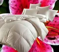Hofmann Canada Ganzjahres Daunendecke Daunenbett 4x6 155x220 1200 g 100%  Daunen