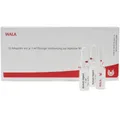 WALA® Hepar Sulfuris Comp. Amp.