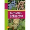 Farbatlas Rebsorten