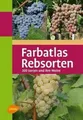 Farbatlas Rebsorten: 300 Sorten und ihre Weine Buch Verlag Eugen Ulmer