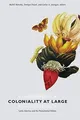 Coloniality at Large: Latin America and the Postcolonial... | Buch | Zustand gut