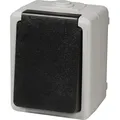 Feuchtraum Steckdose Keller Garage Einzelsteckdose IP44 TAFF - Grau